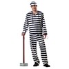 California Costumes Men's Jailbird Costume, White/Black Stripe, Small