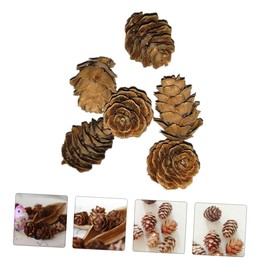 Operitacx 50 Pcs Small Pine Cone Adornments Decorative Pine Cone Photo Props for Christmas and Crafting Natural Reusable for Indoor Decor and Festivals