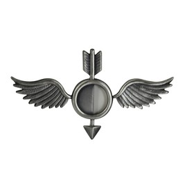 MilitaryBest U.S. Navy Aerographer's Mate (AG) Ball Cap Pin (Oxidized Finish)