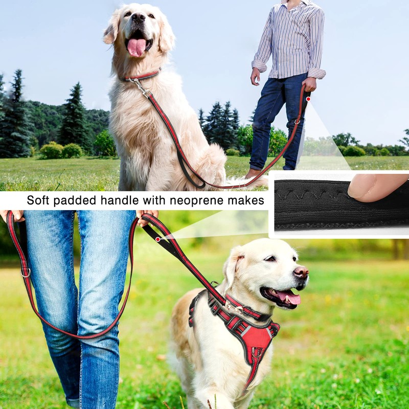WINSEE Pet Harness Collar and Leash Set, All-in-one Reflective Dog