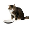 SPOT Two Tone Gray Oval Cat Food Dish - Ceramic