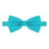 Jacob Alexander Polka Dot Print Men's Polka Dotted Pretied Bowtie