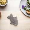 Pez de Hierro Fundido para Cocinar Suplemento Natural de Hierro