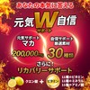 Dragon Maca 200,000 mg, Made in Japan, 60 Capsules, Zinc,