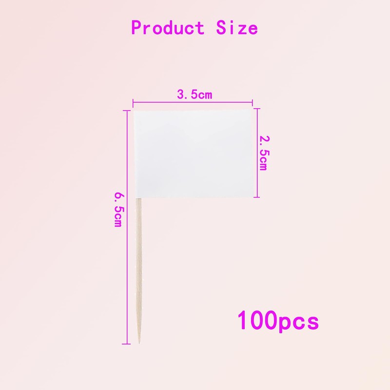 100PCS Blank Toothpick Flags Paper Food Labels - White Fruit