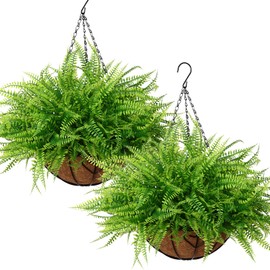 KHOYIME Artificial Hanging Plants with Basket 2PCS Fake Boston Fern Baskets, Outdoor Faux Greenery Stems Hanging Decor UV Resistant Indoor Outside Decorations for Home Garden Porch Balcony Patio Yard