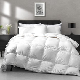 APSMILE All Season Down Feather Fibers Comforter Queen Size - Ultra-Soft Extra Fluffy Hotel Collection Duvet Insert Fluffy Medium Warm Quilt with Corner Tabs(90x90, White)