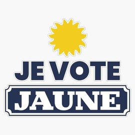 LAD Studio I Vote Yellow in The 2022 Presidential Elections Sticker Bumper Sticker Vinyl Decal 5""