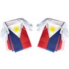ZXvZYT Philippine Filipino Flag Banner String,Small Mini Philippines Pennant flags,For