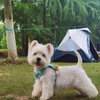 BTINESFUL 12FT 20FT 30FT Reflective Dog Tie Out for 2