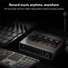 Audio Interface Recording XLR Audio Interface DSP Reverb 48V Phantom
