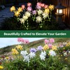 DooYard Solar Spider Lily Flower Lights Outdoor Waterproof 2 Pack,