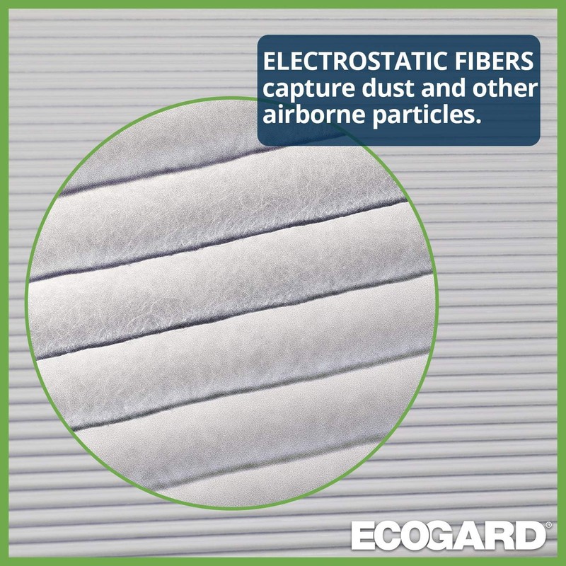 ECOGARD XC35491 Filtro de aire de cabina premium compatible con