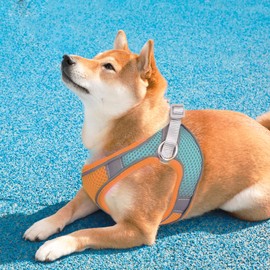 SIMENA Harness and Leash for Dogs and Cats, Dual Color Dog Harness with Reflective Bands, Soft and Breathable Cat Harness (Orange, L)