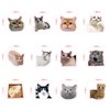 12Pcs Funny Cat Meme Fridge Magnets Cute Refrigerator Magnetic Stickers