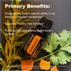 Doterra Zendocrine - Detoxification Oil Blend 15ml by doTERRA