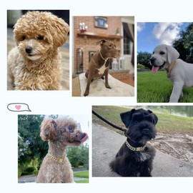 Gold Crystal Cuban Link Dog Collar with Design Secure Buckle Metal Chain Collar Pet Necklace for Small Medium Large Dogs Cats（Gold 18inch）