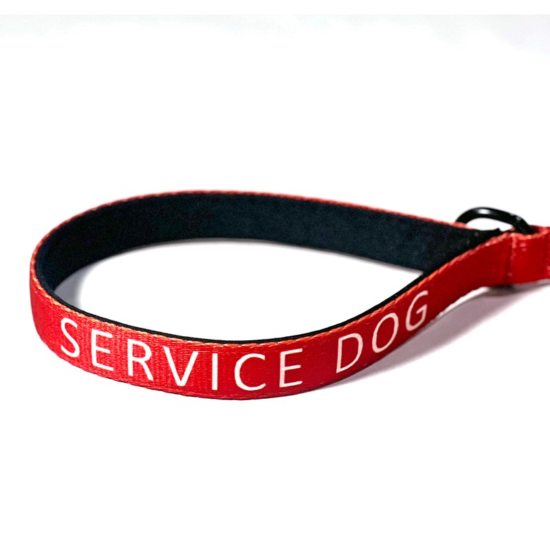 American Pet Registry Service Dog Leash (Medium)