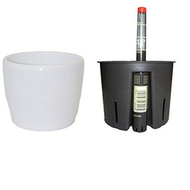 happy nature Set3 Venus Flower Pot White 09/07 Diameter 11.5 cm Height 08 cm + KT+WA