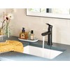 Moen Meena Matte Black One-Handle Single Hole Modern Bathroom Sink