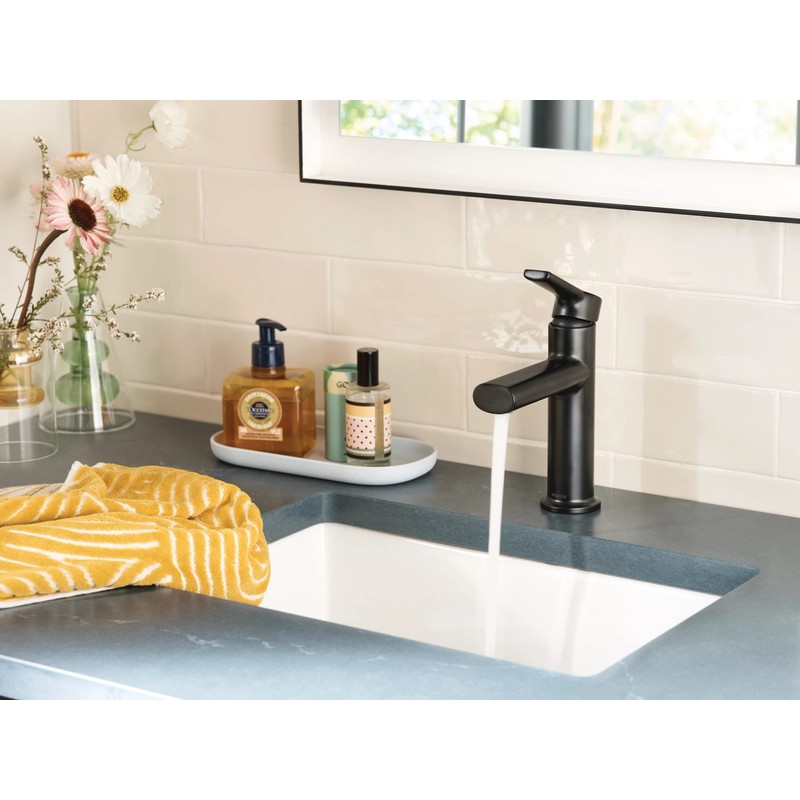 Moen Meena Matte Black One-Handle Single Hole Modern Bathroom Sink