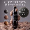 KIWABI Gray Hair Dyeing Shampoo Dark Brown 2-Piece Set Color