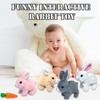 LYINUR Interactive Rabbit Toy with Carrot, Pet Hopping Bunny Toy