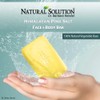 Natural Solution Himalayan Pink Salt, Turmeric and Neem Soap Bar