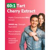 Vitalibre Tart Cherry Capsules, 500 mg Extract, Concentrated 60:1 Extract,
