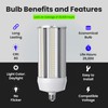 Feit Electric C15000/5K/LED 750 Watt-Equivalent 125W Non-Dimmable High Bright 15000