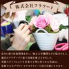 Flower Art Co., Ltd. Preserved Flower Arrangement Sunshine