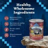 Blue Buffalo Wilderness Wolf Creek Salmon Stew Wet Dog Food