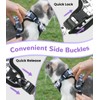 Halypet Cat Harness and Leash Set for Walking, Escape Proof