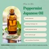 2 fl oz - Peppermint Essential Oil - 100% Pure