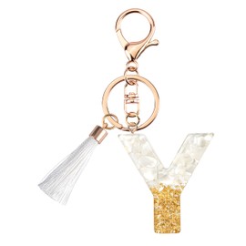 Suweibuke Cute Beige Key Chains for Women Girls, Initial Letter Keychains with White Tassel, Charms for Key Handbags Backpacks (Y)