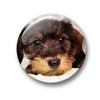 01 Large Refrigerator Magnets with Dachshund Portrait Design Set of