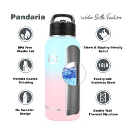 Pandaria 32oz Insulated Water Bottle Stainless Steel, Leak Proof Water Bottle with 2 Starws, 2 Lids and 1 Cleaning Brush (Bubble, 32 Ounces)