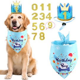 Rensh Dog Birthday Party Supplies, Dog Birthday Bandana Hat with Numbers for X-Large Large Small Pets, Multi Size Birthday Decorations for Dogs and Cats (Blue, Large)