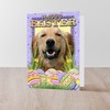 CafePress Easter Egg Cookies Golden Folded Greeting Card Glossy