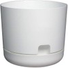 DCN 10" Self-Watering White Oasis Planter
