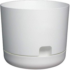 DCN 10" Self-Watering White Oasis Planter