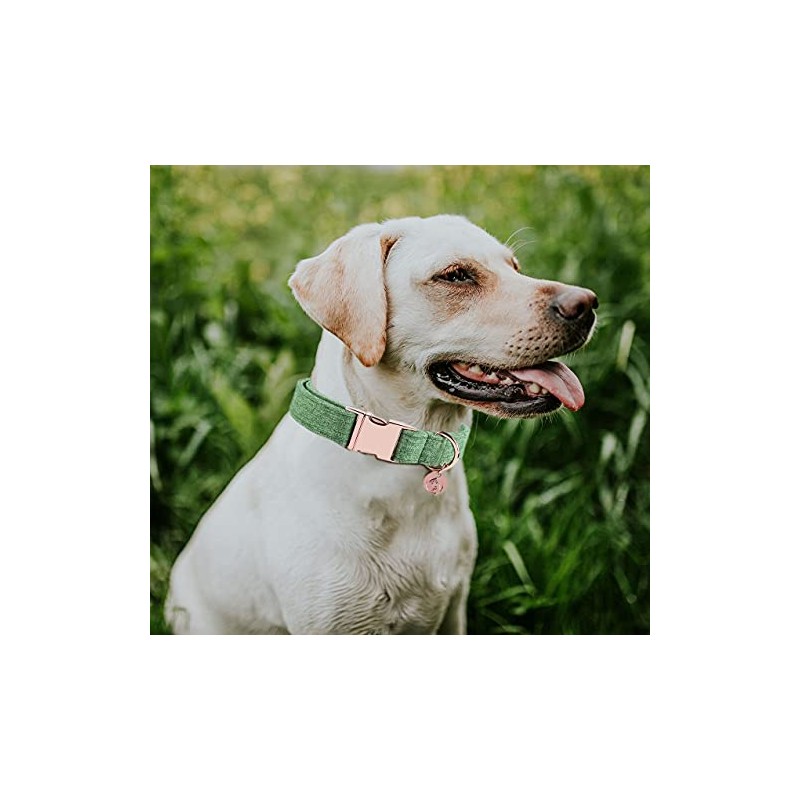 DOGWONG Collar y correa de algodón para perro