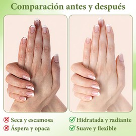 Hand Cream Trabajo,Crema de Manos Hidratante,Crema de manos perfumada, Crema para manos mayoreo,ingredientes de origen vegetal, adecuada para hidratar y nutrir profundamente las manos, (10 piezas / caja de regalo)