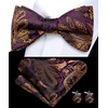 Hi-Tie Men Ties Bowtie Set Silk Necktie Bow Tie Pocket