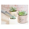 Asaka Industries FG Plastic Succulent Soil Container, Set of 2