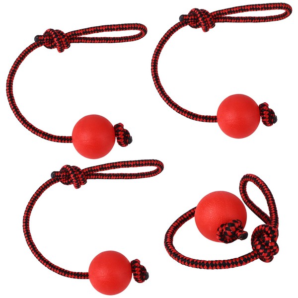 Haiabei 4 Pcs Dog Rope Ball Dog Ball On a