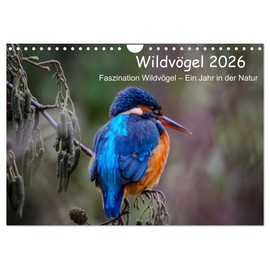 Wildvögel 2026 (Wandkalender 2026 DIN A4 quer), CALVENDO Monatskalender