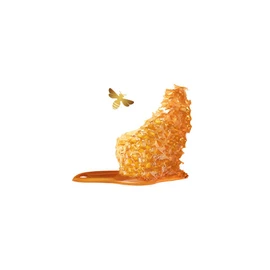 Garnier Honey Mask 8 ml (Pack of 1)