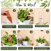 SiliFine 8 Pack Plant Watering Devices with 4 Pcs Terracotta