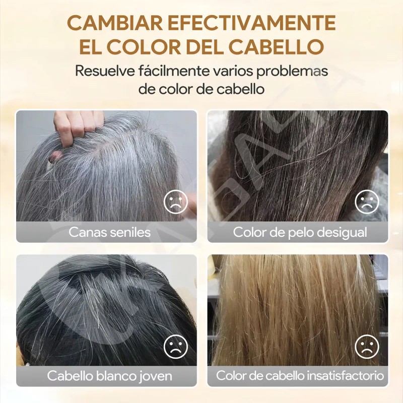 Kaisasa Shampoo Con Tinte Cubre Canas Natural Jengibre 500ml-Negro
